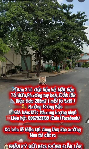 Bất động sản tại Đắk Lắk - ảnh 1