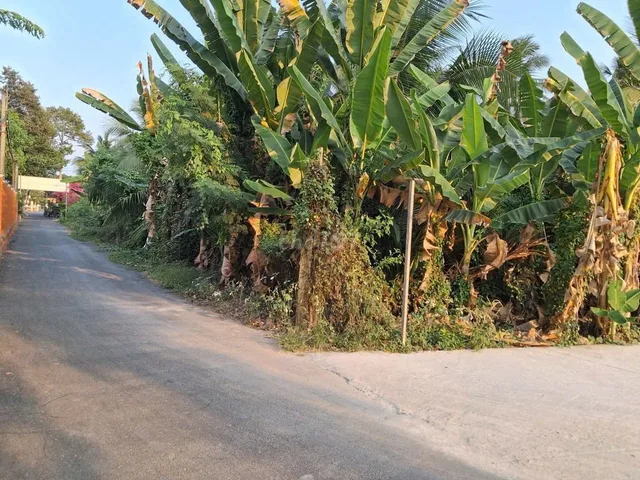 Bất động sản tại Bến Tre - ảnh 1