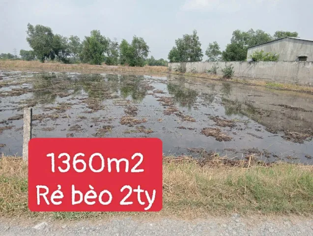 Bất động sản tại Tây Ninh - ảnh 1