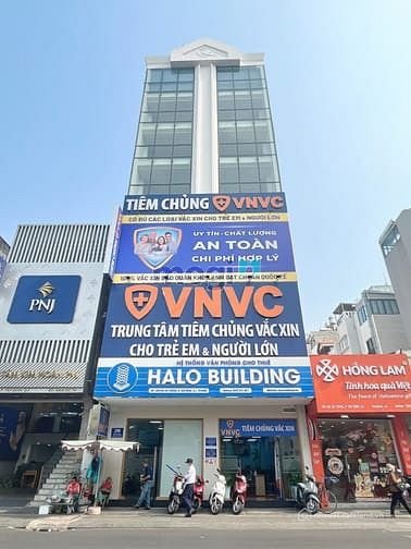 Bất động sản tại TP. Hồ Chí Minh - ảnh 1