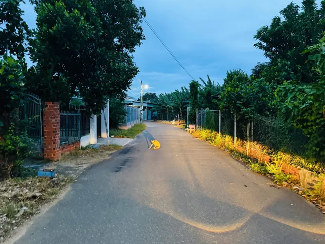 Bất động sản tại Bà Rịa - Vũng Tàu - ảnh 1