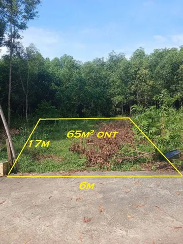 Bất động sản tại Đồng Nai - ảnh 1