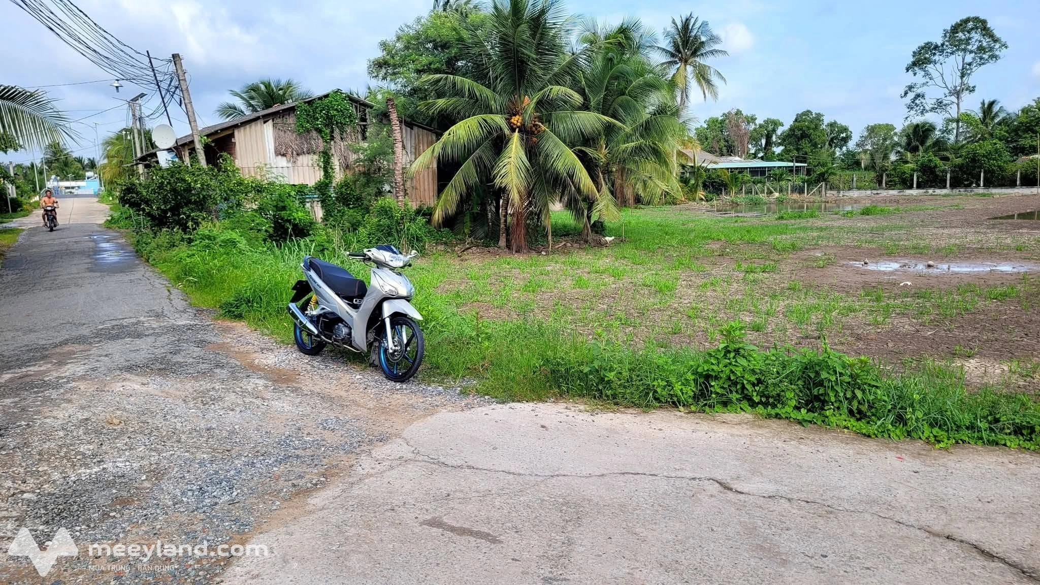 Bất động sản tại Long An - ảnh 1