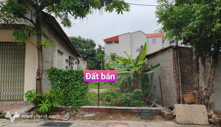 Bất động sản tại Vĩnh Phúc - ảnh 1