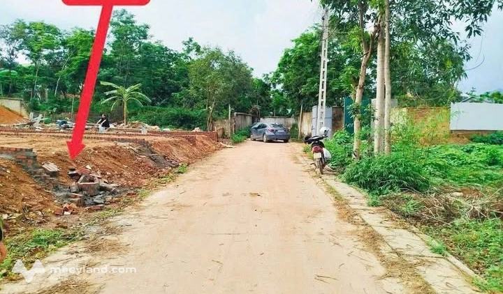 Bất động sản tại Vĩnh Phúc - ảnh 1