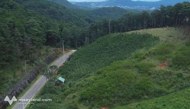 Bất động sản tại Lâm Đồng - ảnh 1