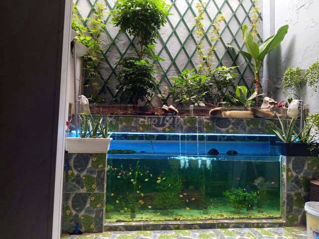 Nhà riêng tại 12, TP. Hồ Chí Minh - ảnh 3