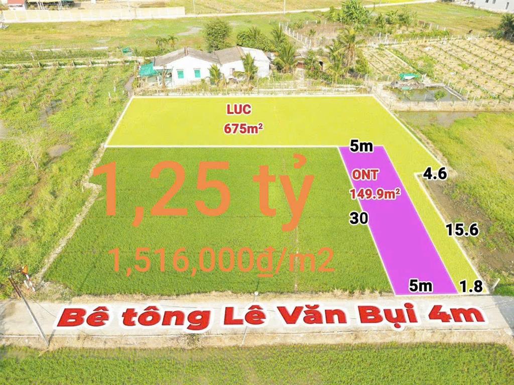 Bất động sản tại Long An - ảnh 1