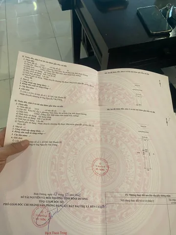 Bất động sản tại Bình Dương - ảnh 1