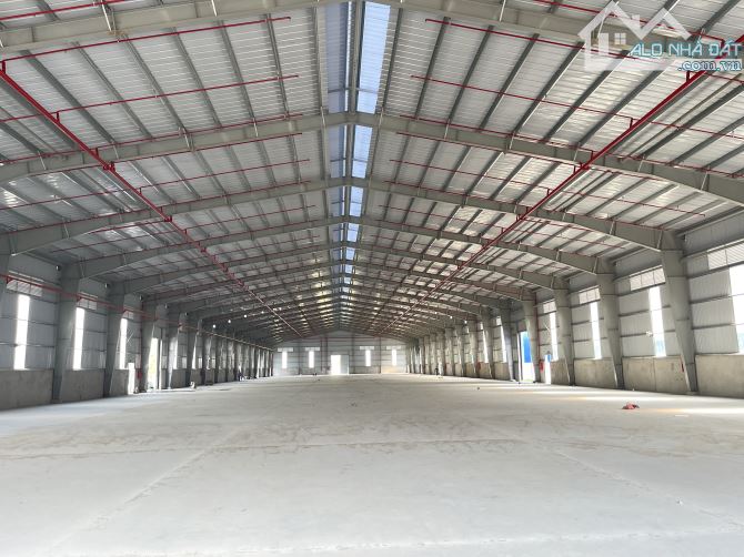 Bất động sản tại Long An - ảnh 1