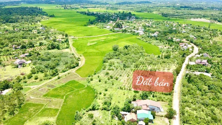Bất động sản tại Đắk Lắk - ảnh 1