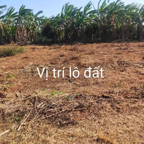 Bất động sản tại Đắk Lắk - ảnh 1