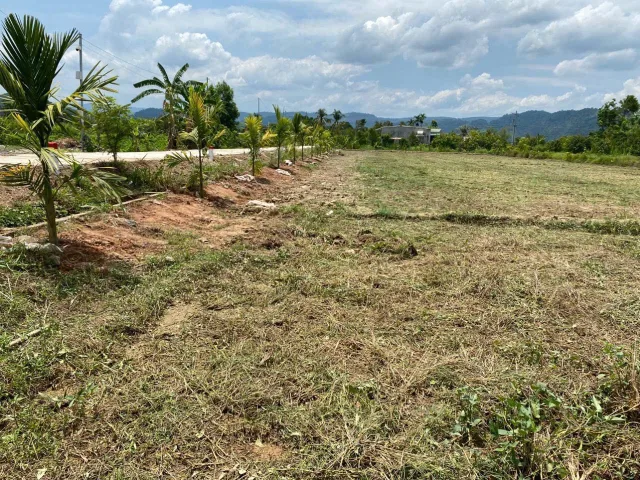 Bất động sản tại Lâm Đồng - ảnh 1