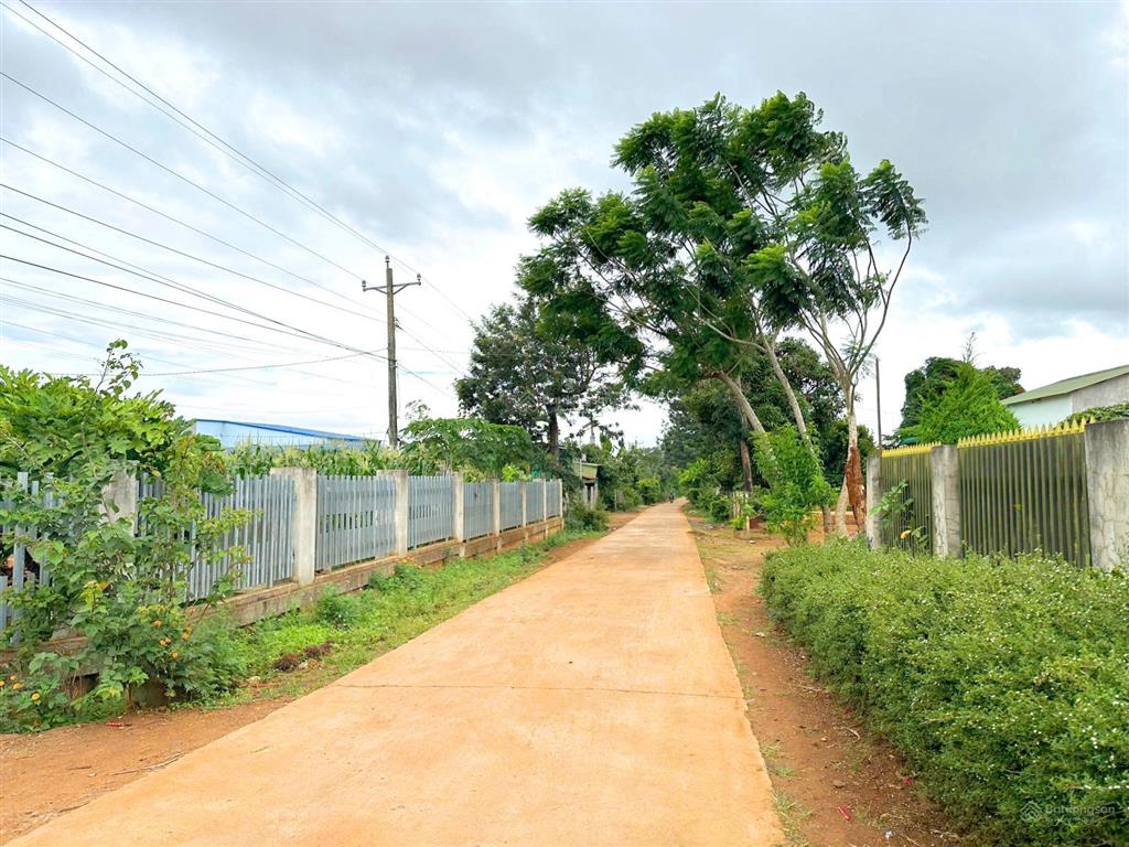 Bất động sản tại Lâm Đồng - ảnh 1