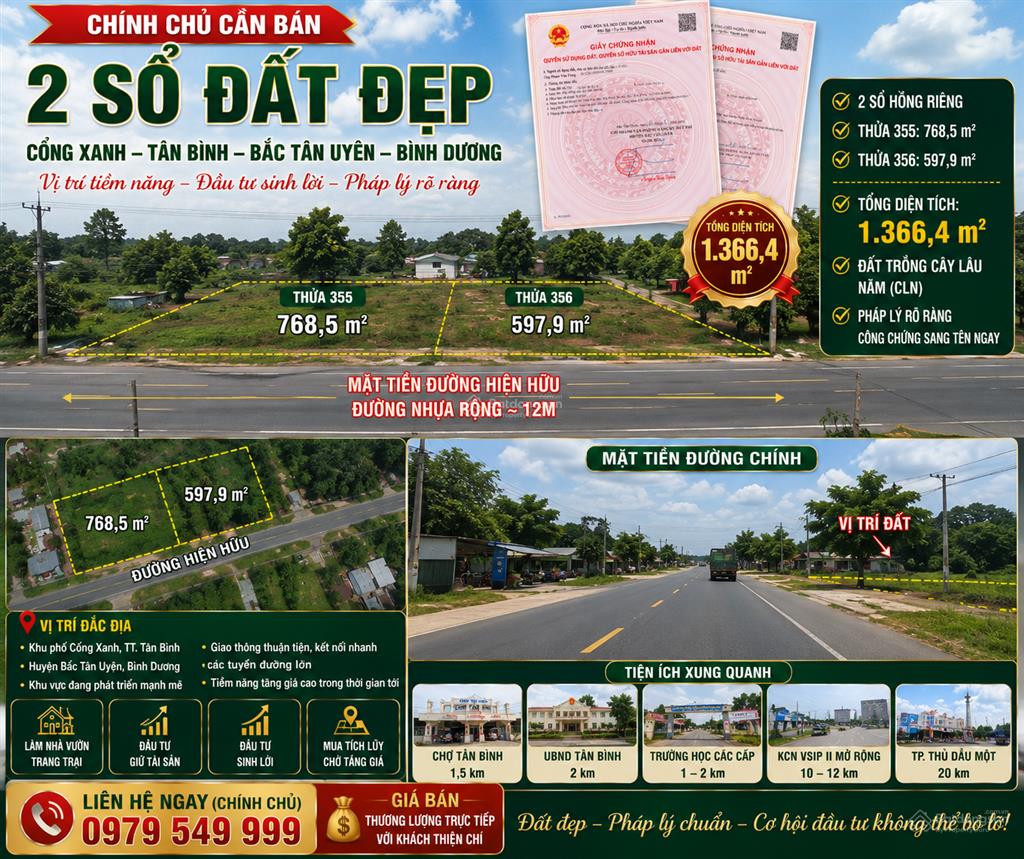Bất động sản tại Bình Dương - ảnh 1