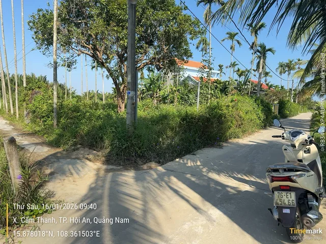 Bất động sản tại Đà Nẵng - ảnh 1