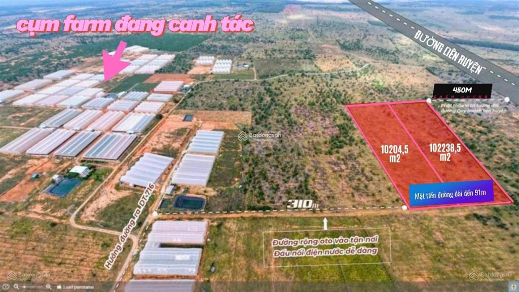 Bất động sản tại Bình Thuận - ảnh 1