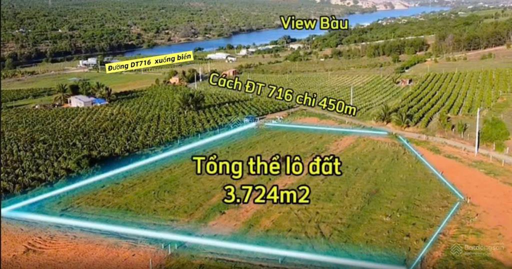 Bất động sản tại Bình Thuận - ảnh 1