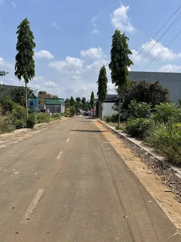 Bất động sản tại Đồng Nai - ảnh 1