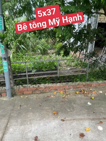 Bất động sản tại Tây Ninh - ảnh 1