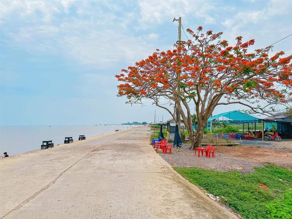 Bất động sản tại Tiền Giang - ảnh 1