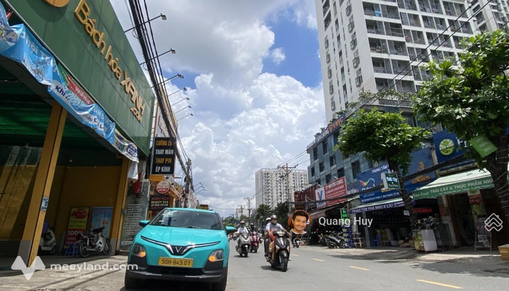 Bất động sản tại TP. Hồ Chí Minh - ảnh 1