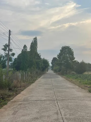 Bất động sản tại TP. Hồ Chí Minh - ảnh 4