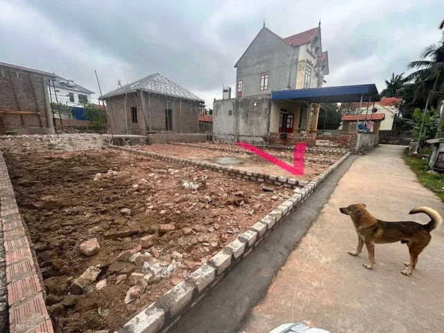 Bất động sản tại Hải Phòng - ảnh 1