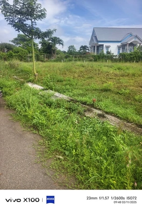 Bất động sản tại Bà Rịa - Vũng Tàu - ảnh 1