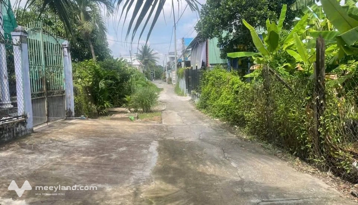 Bất động sản tại Long An - ảnh 1