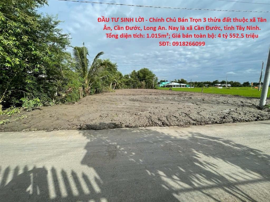 Bất động sản tại Long An - ảnh 1