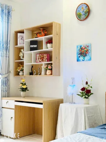 Bất động sản tại Đà Nẵng - ảnh 1