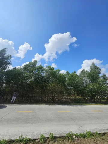Bất động sản tại Hải Phòng - ảnh 1