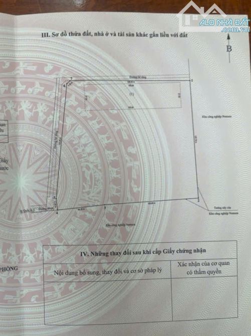 Bất động sản tại Hải Phòng - ảnh 1