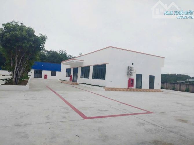 Bất động sản tại Bình Dương - ảnh 1