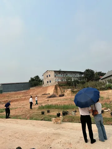 Bất động sản tại Phú Thọ - ảnh 1