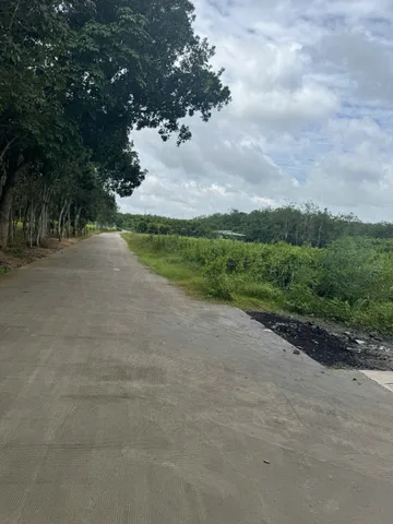Bất động sản tại Bình Dương - ảnh 1