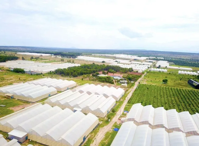 Bất động sản tại Bình Thuận - ảnh 1