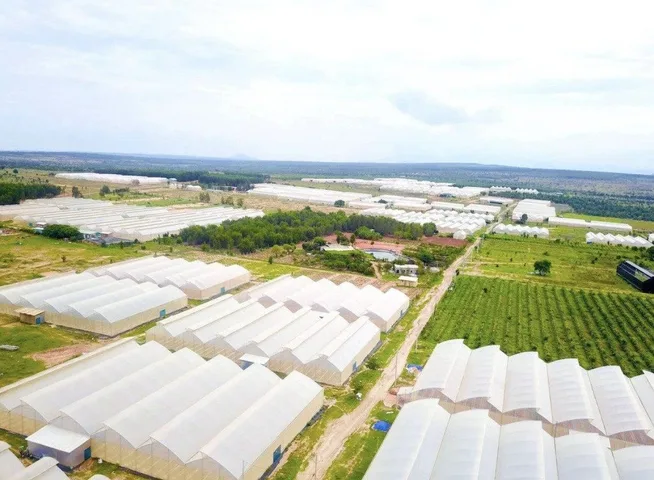 Bất động sản tại Bình Thuận - ảnh 1