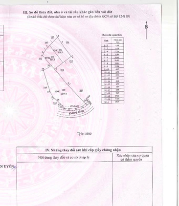 Bất động sản tại Bình Dương - ảnh 1