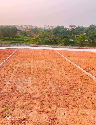 Bất động sản tại Bắc Giang - ảnh 1
