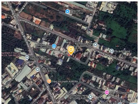 Bất động sản tại Bình Dương - ảnh 1