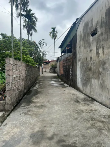 Bất động sản tại Hải Phòng - ảnh 1
