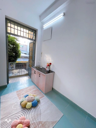 Bất động sản tại TP. Hồ Chí Minh - ảnh 1