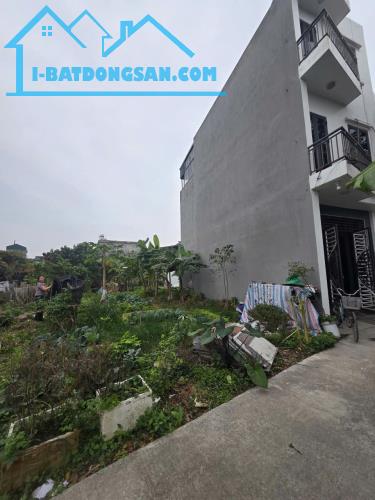 Bất động sản tại Hải Dương - ảnh 1