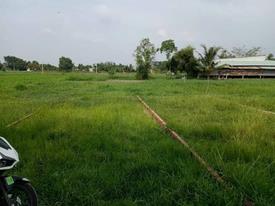 Bất động sản tại Long An - ảnh 1
