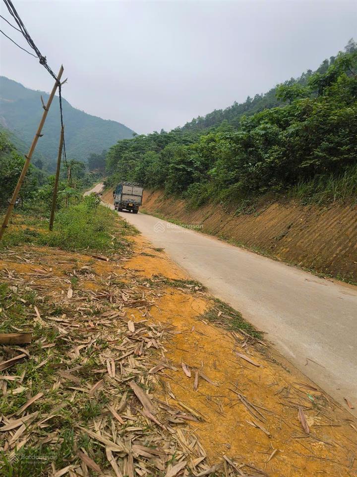 Bất động sản tại Phú Thọ - ảnh 1