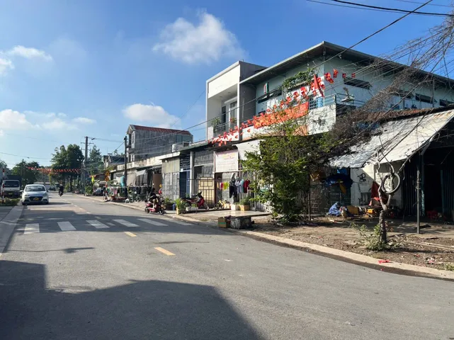 Bất động sản tại Bình Dương - ảnh 1