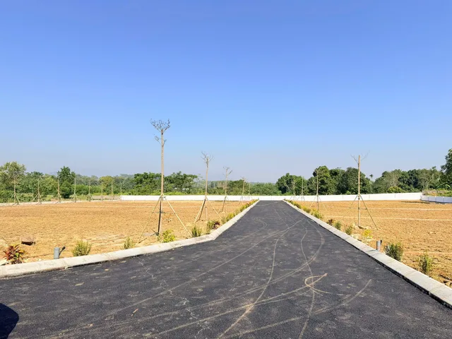 Bất động sản tại Phú Thọ - ảnh 1