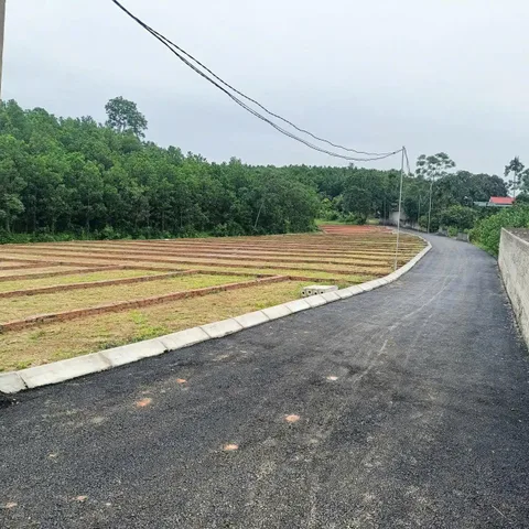 Bất động sản tại Hòa Bình - ảnh 1